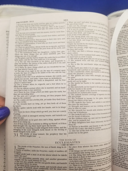 Zeta Bible Cover